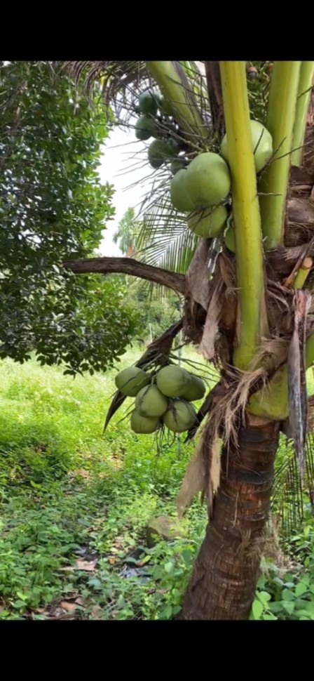 bất động sản toàn quốc