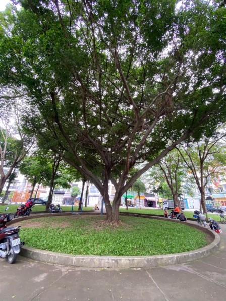 bất động sản toàn quốc