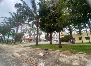 Bán Biệt Thự đường số 15, Bình Tân Tên Lửa, đối diện công viên, 8.3x20m, 20.5 tỷ