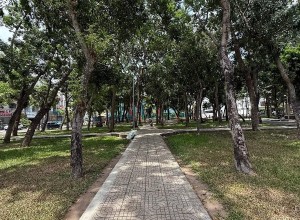 Bán nhà đường số 32B, Bình Tân Tên Lửa (ngay công viên), 4x20m, 3.5 tấm, 11 tỷ