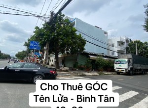 Cho thuê nhà GÓC đường Tên Lửa, Bình Tân, 12x20m, 85 triệu