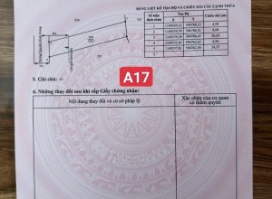 Bán đất đường nhựa Cần Đước, Long An, 5x26m (17 lô), 953 triệu