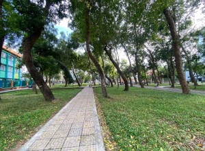 MTNB Đường số 33 ❤️ - 4x20 (80) - 3 tầng - 8.6 tỷ