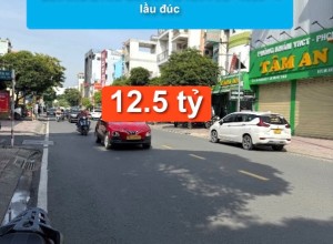 Bán nhà MTKD Gò Dầu, Q Tân Phú - 4x20 - 1 lầu đúc