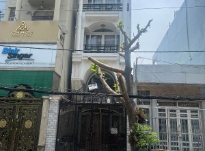 Bán nhà MTNB Nguyễn Ngọc Nhựt, Q Tân Phú - 4.1x17.5m - 5 tầng - 12.9 tỷ