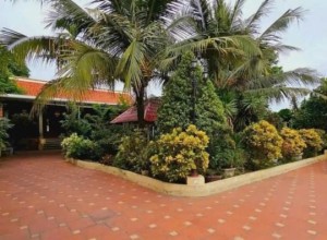 Bán nhà góc 2 MTKD An Hạ, H Bình Chánh - 20x60m (có 600 thổ cư) - nhà gỗ - 19 tỷ