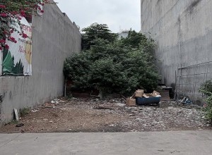 Bán nhà Hẻm 10m Lê Trọng Tấn ❤️, Q Bình Tân - 8.6x26m (2 sổ) - 1 tầng - 14 tỷ